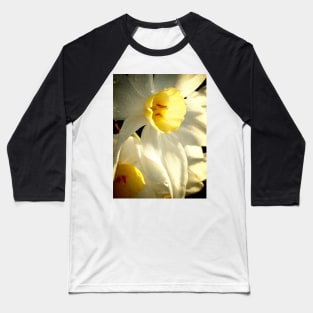 Daffodil Flower Baseball T-Shirt